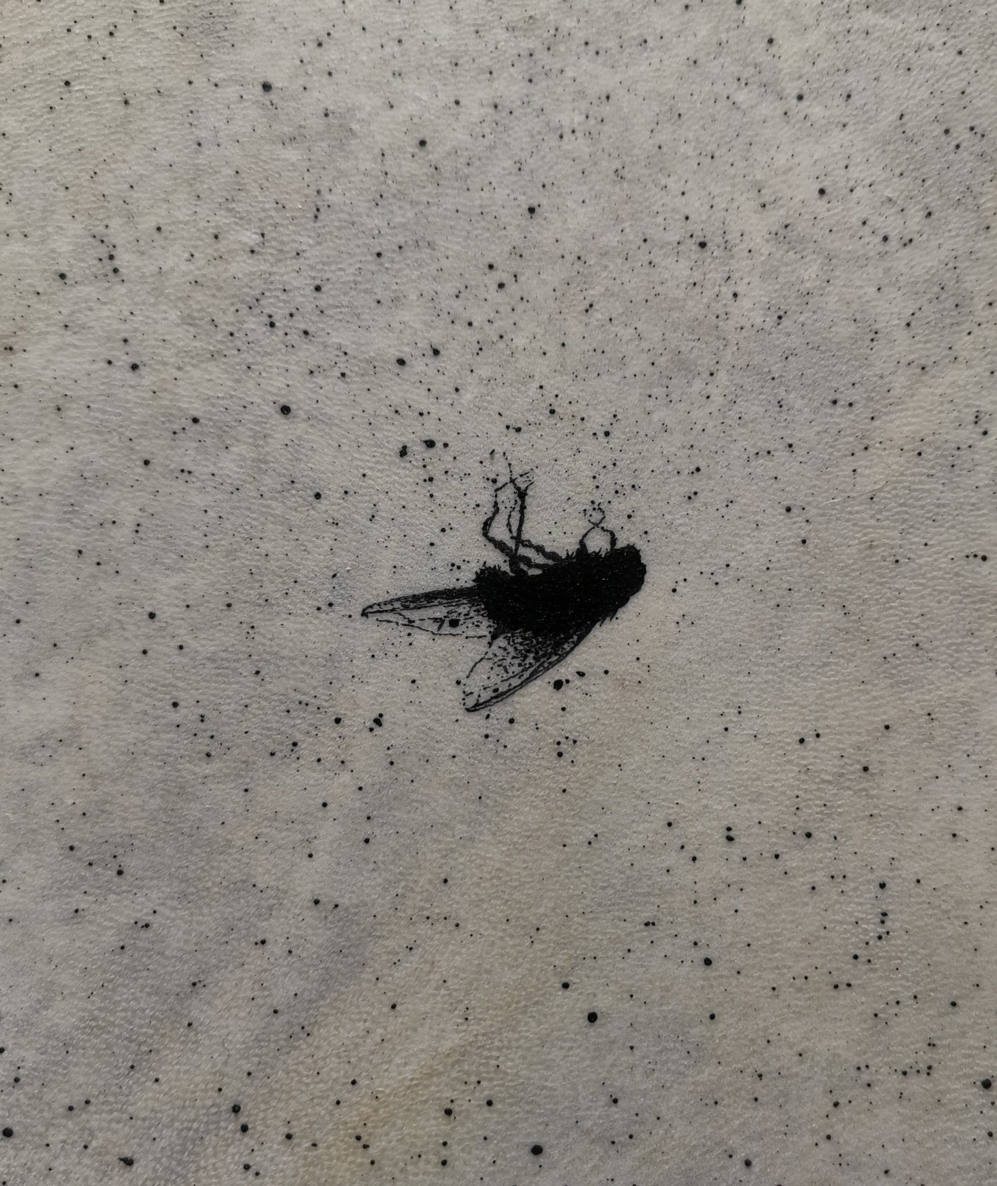 J'ai entendu une mouche bourdonner quand je mourus
