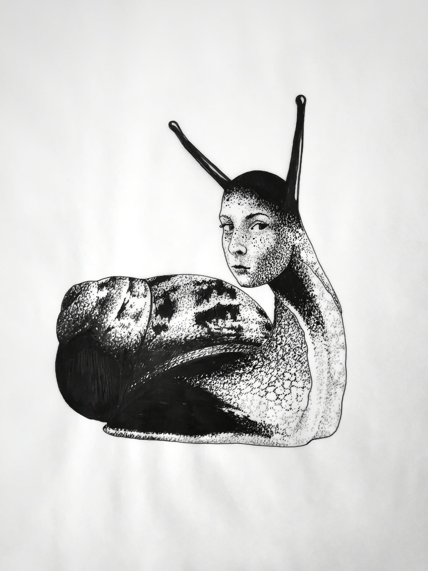 Ensemble d'animaux
