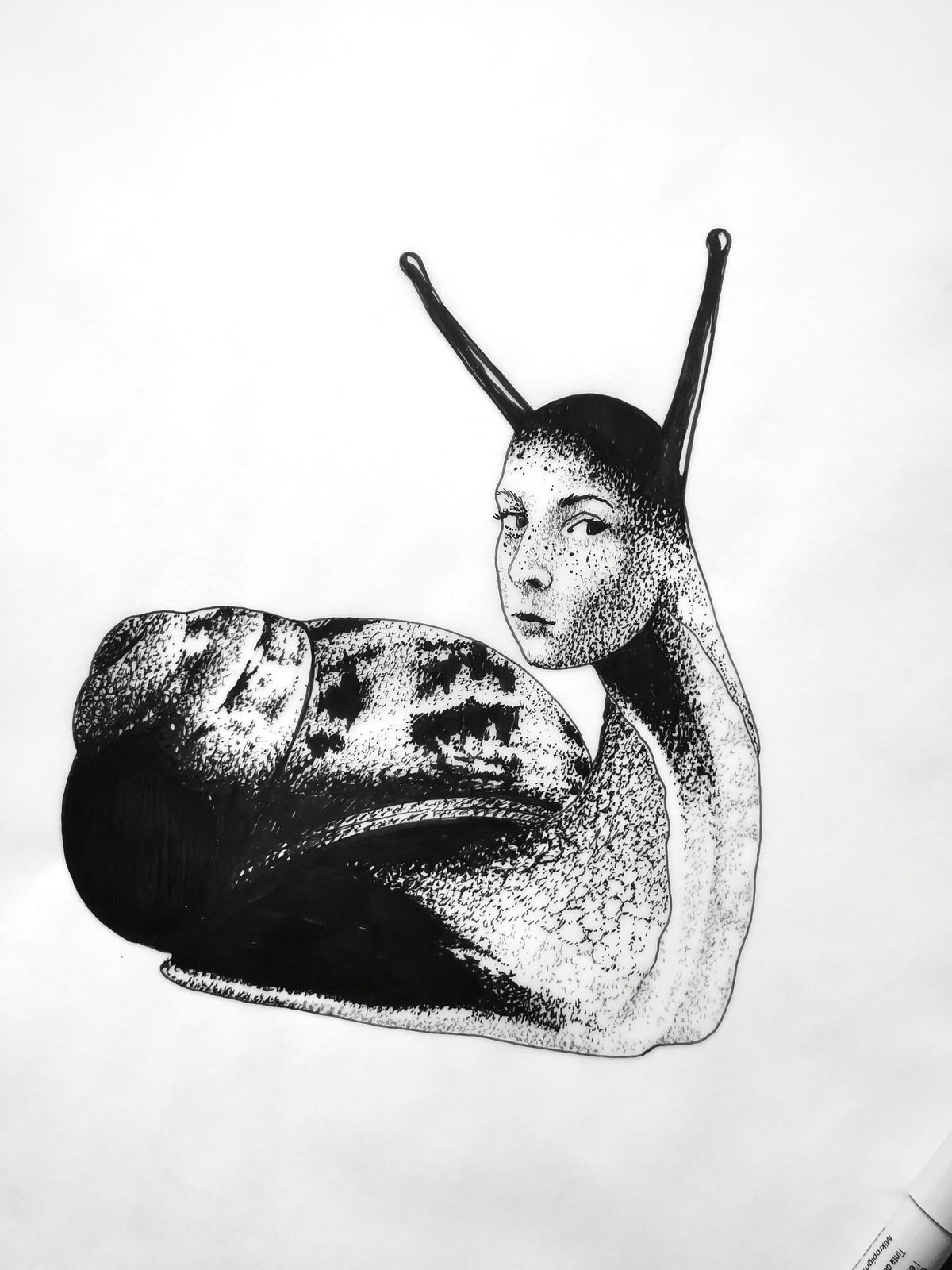 Lady Snail had a secret
