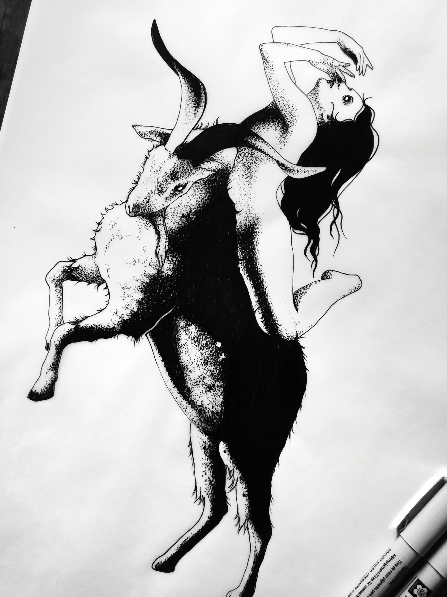 Domestication