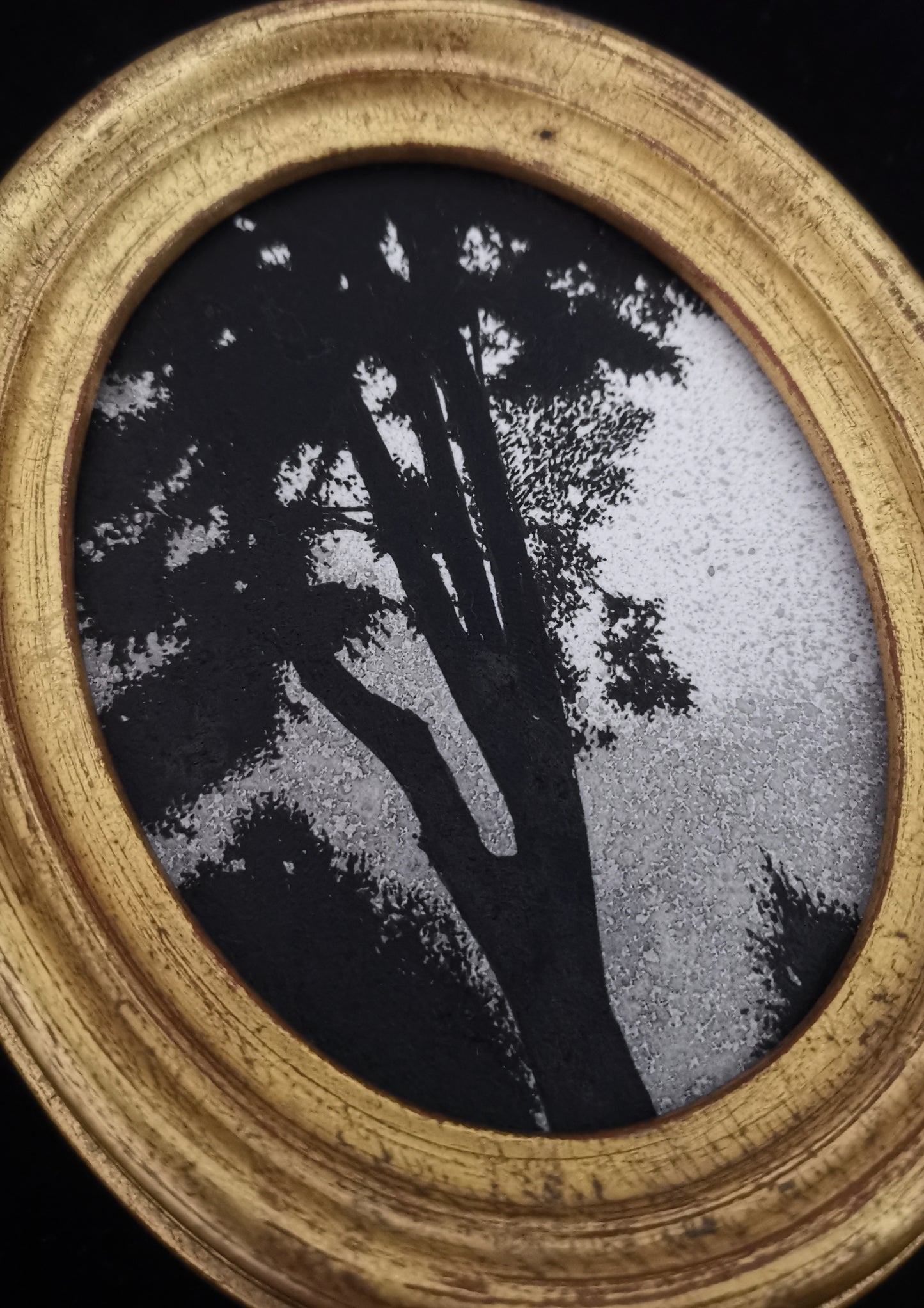 Paysage sombre