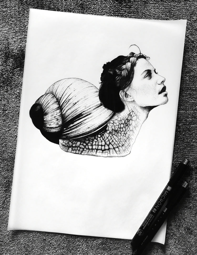 Original Illustrations (Tracing Paper)