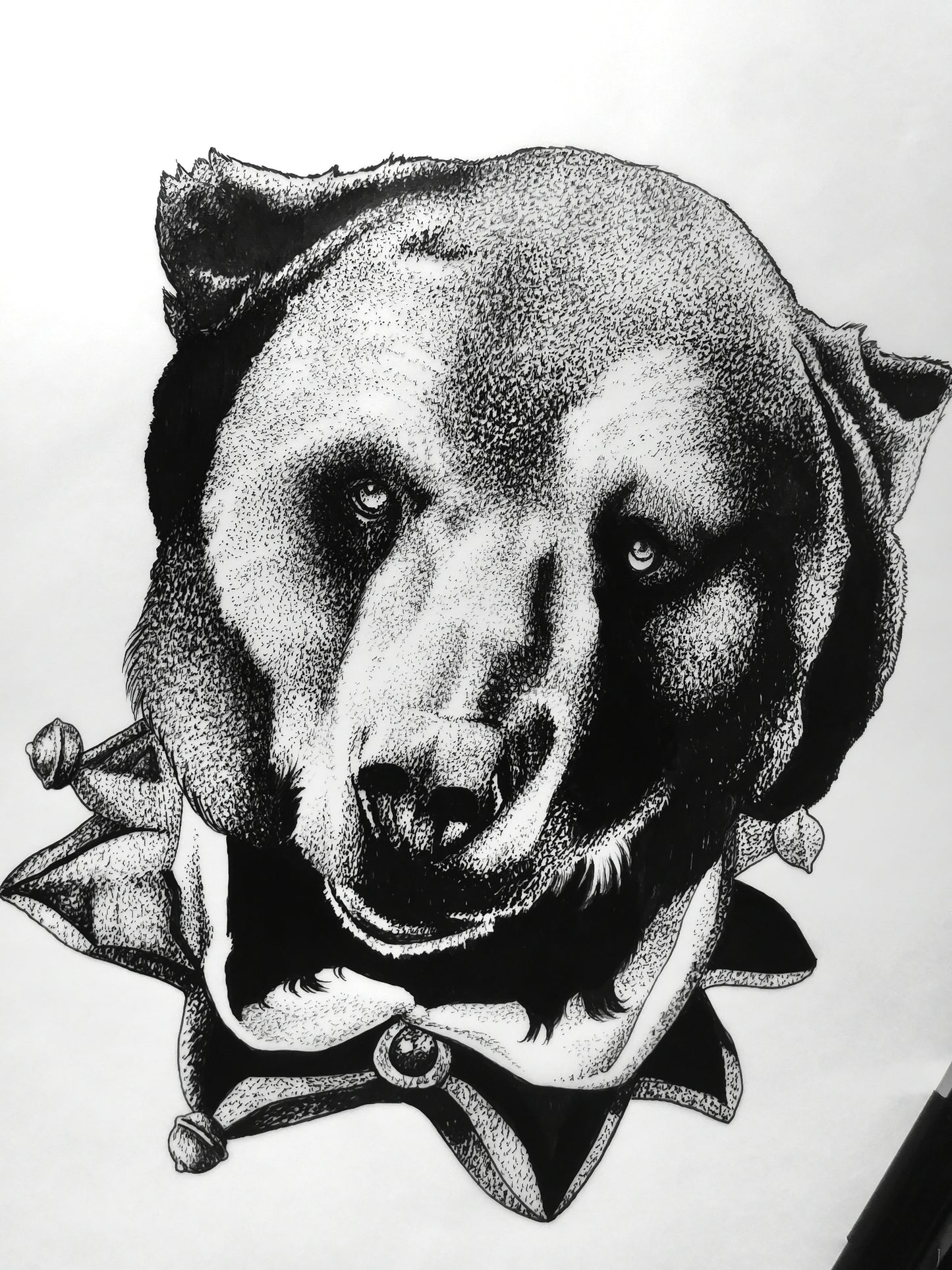 Circus Bear