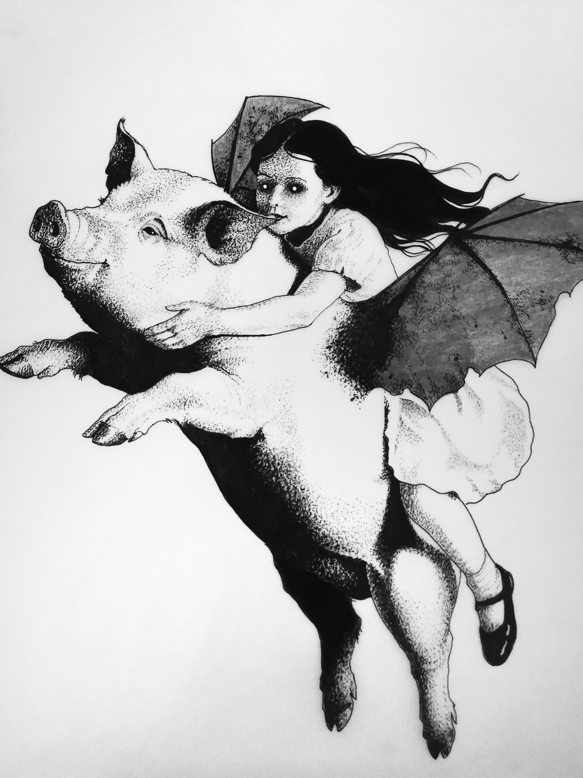 A Tight Flight between Absurdity and Dream