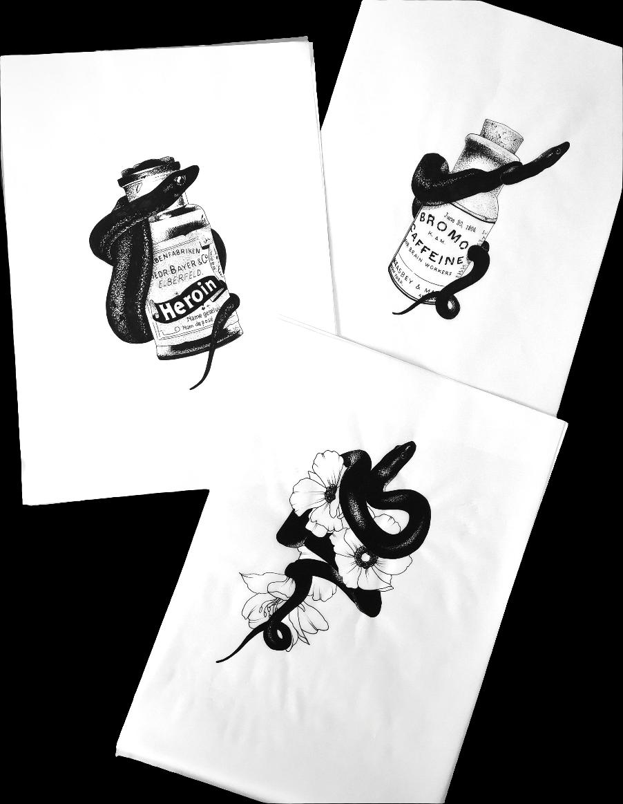 Snakes Bundle
