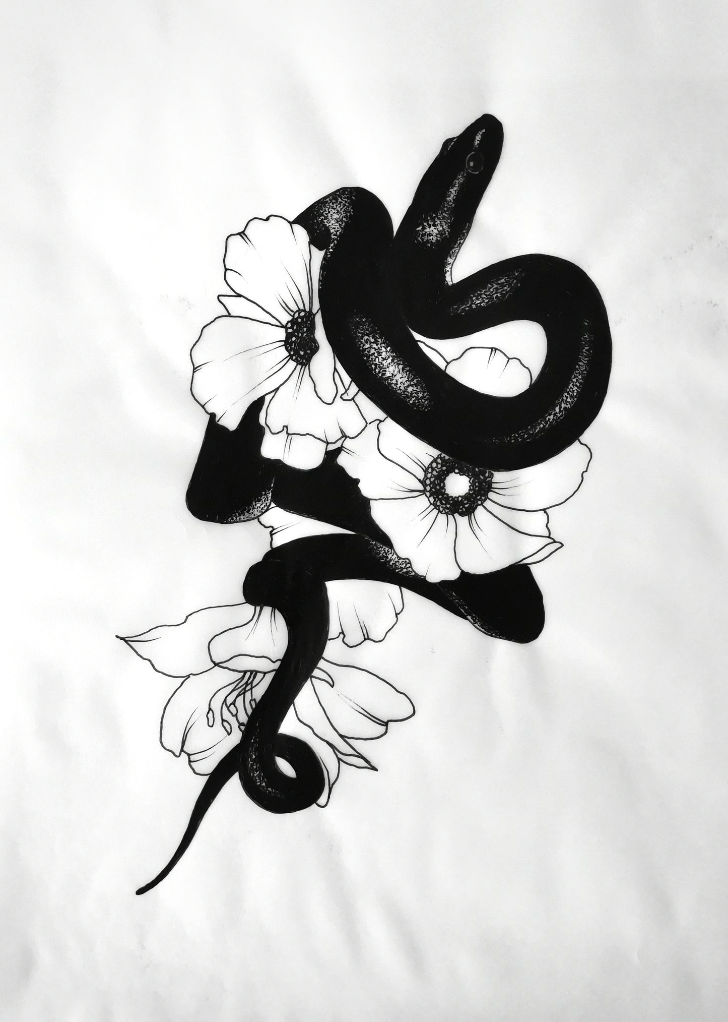 Snakes Bundle