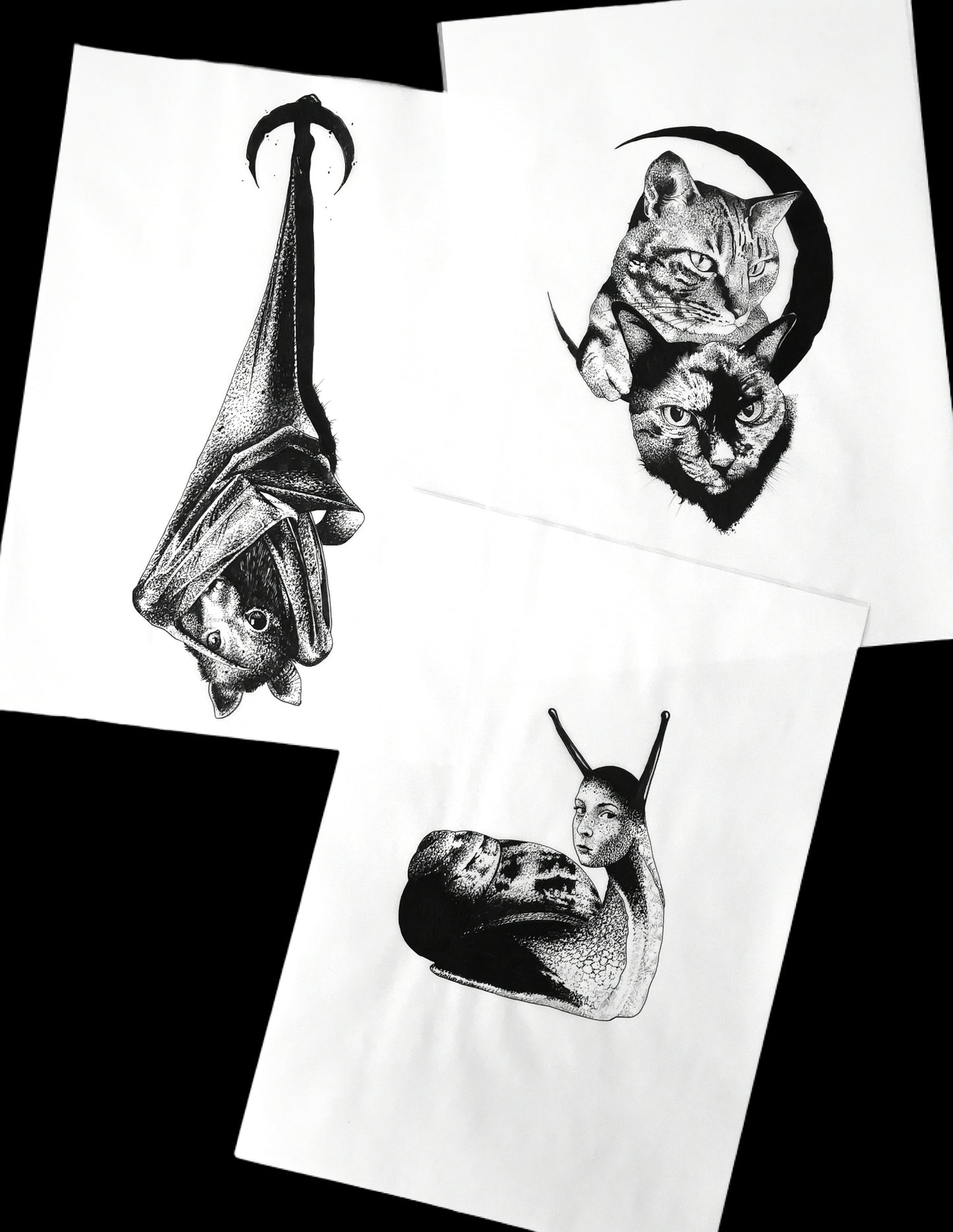 Ensemble d'animaux