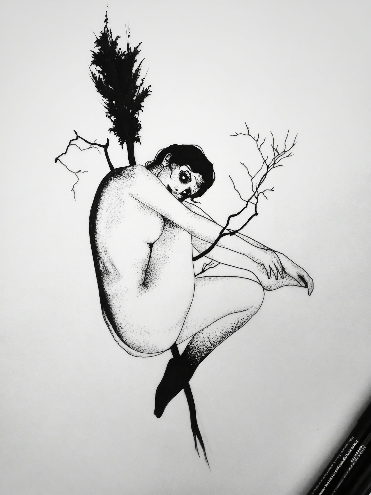 Le dernier vol d'Ane Koldings