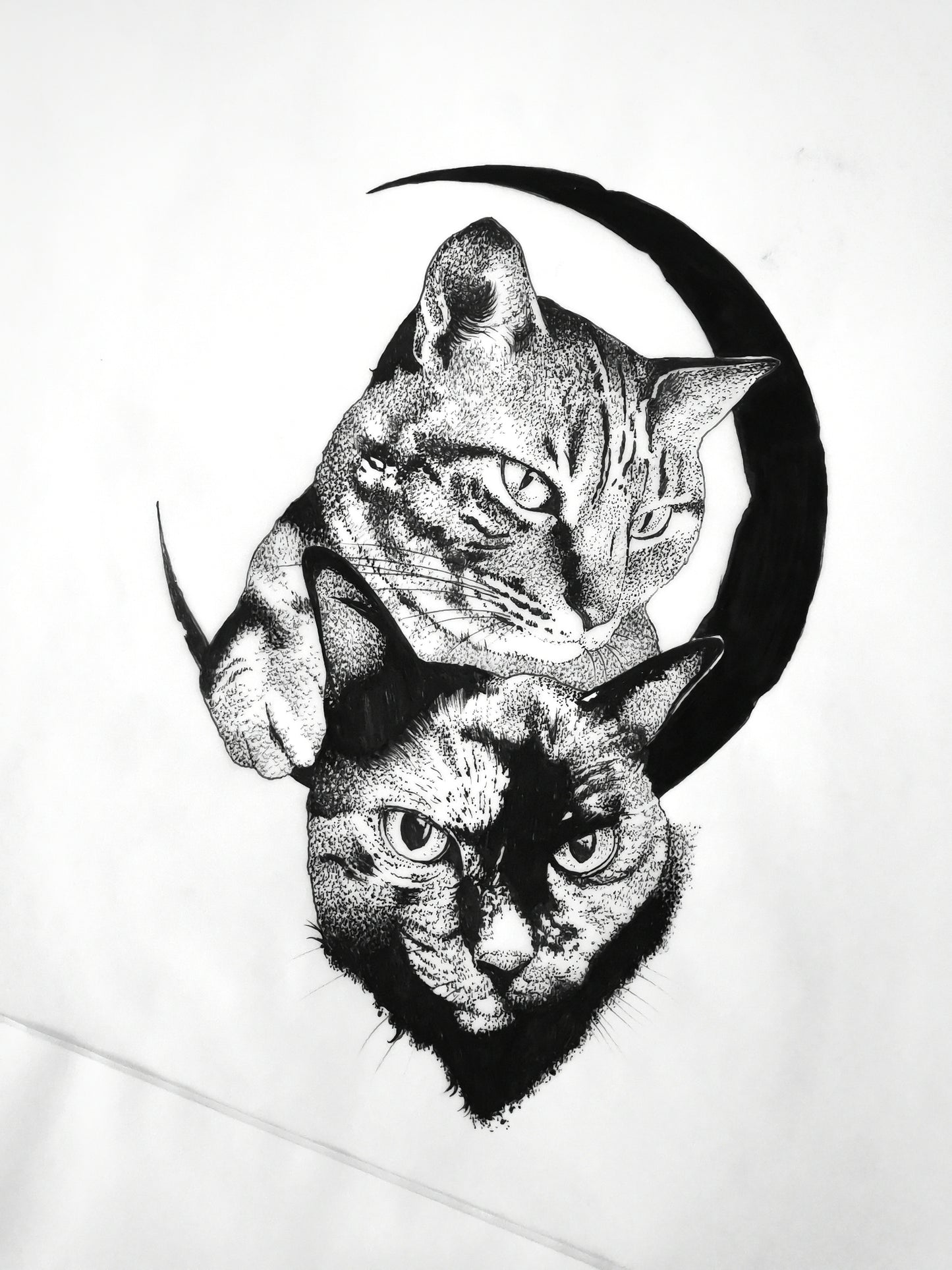 Ensemble d'animaux