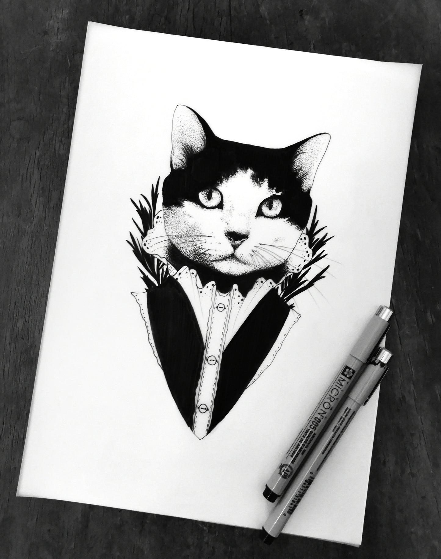 Chat victorien