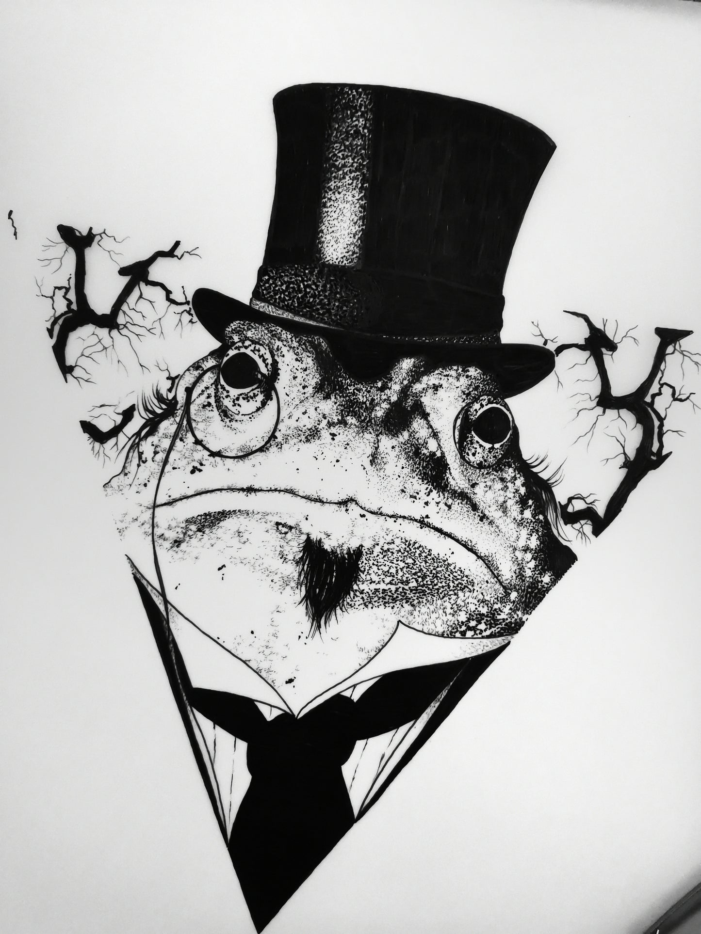 GenCrapaud