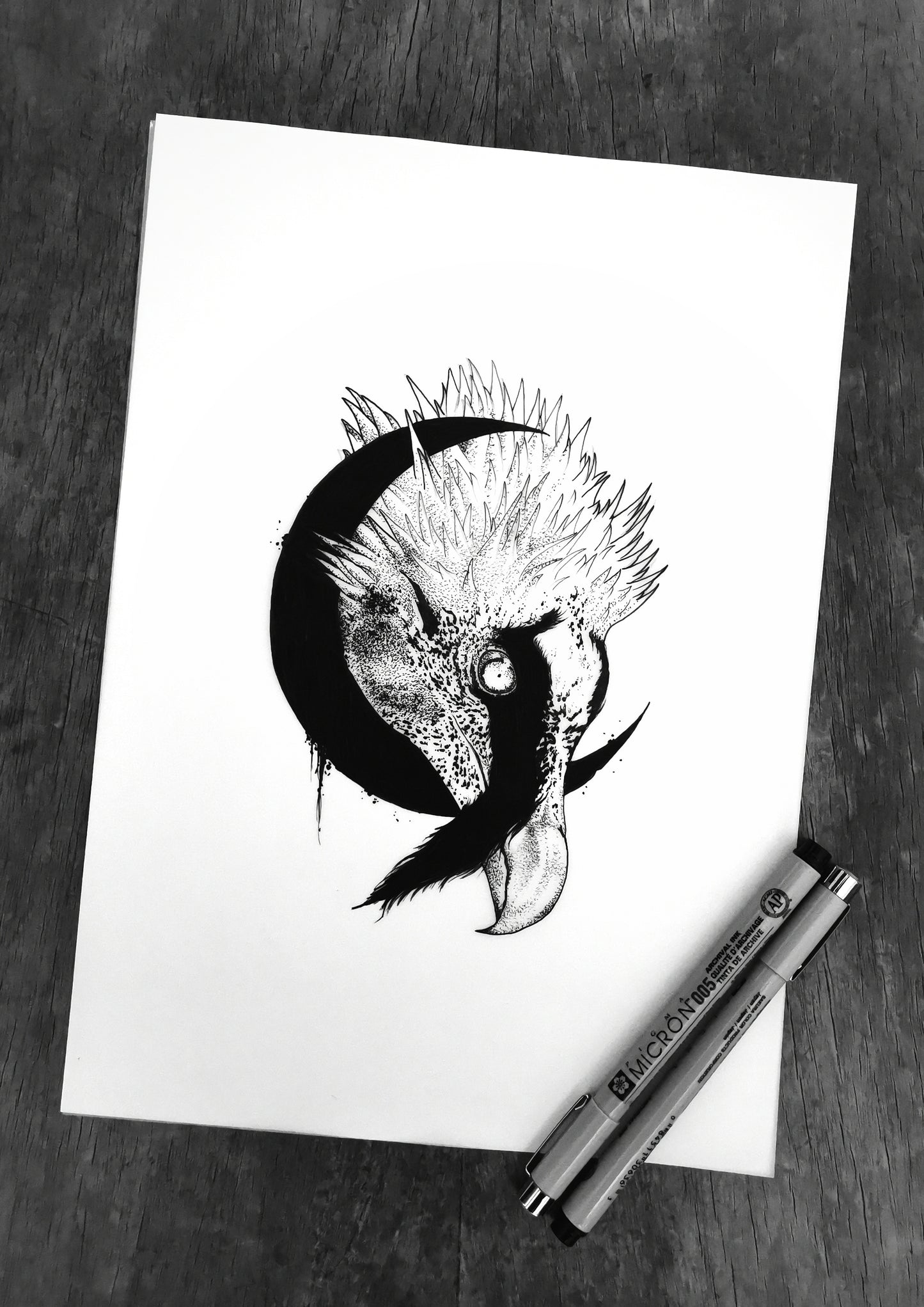 Vautour Sombre