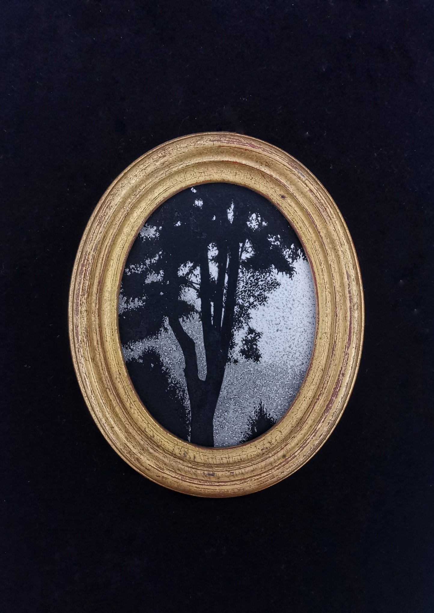 Paysage sombre