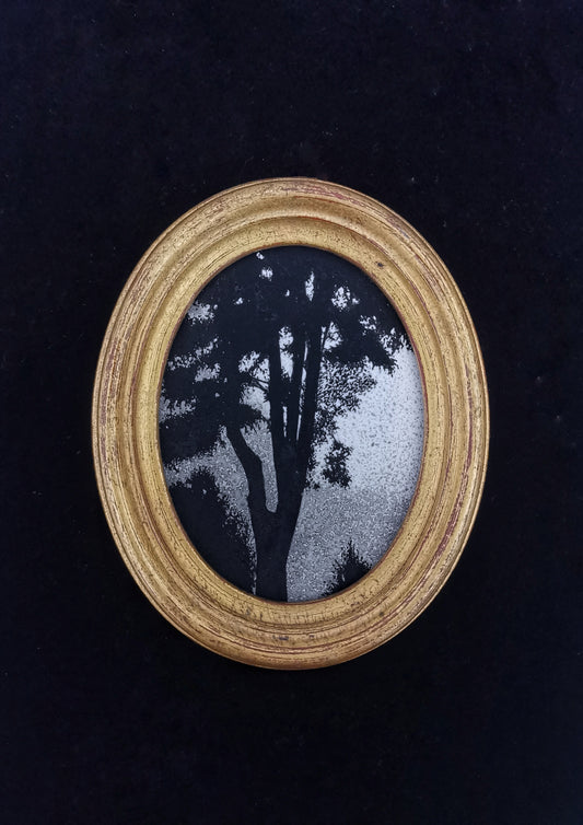 Dark Landscape
