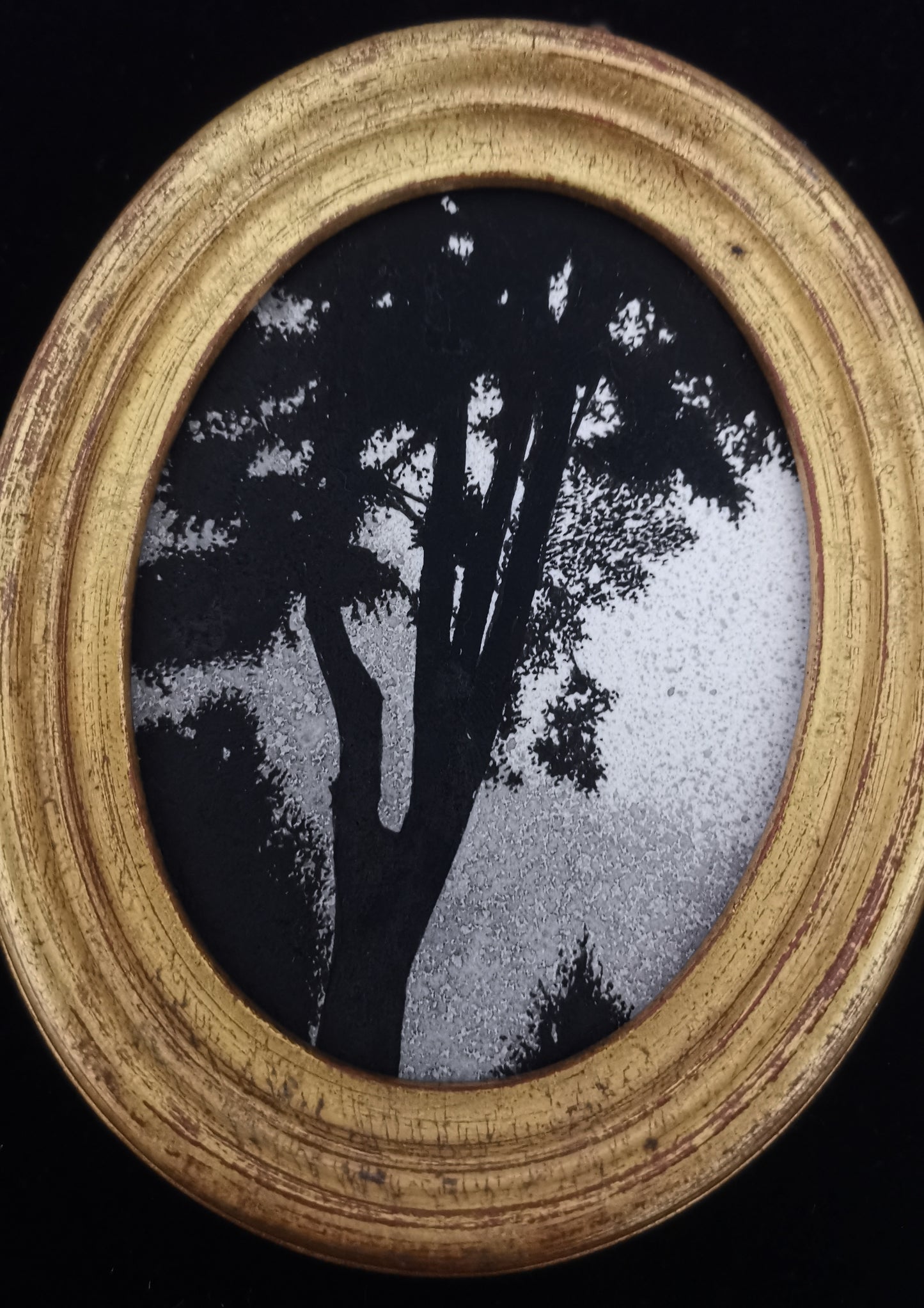 Paysage sombre
